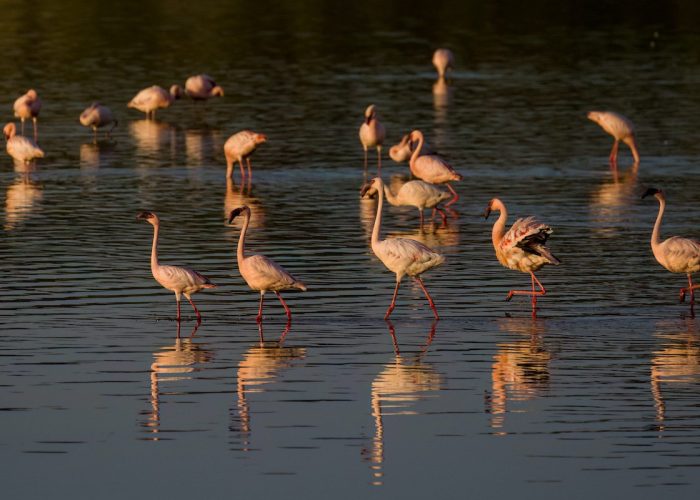 arusha national park