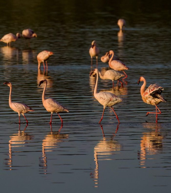 arusha national park