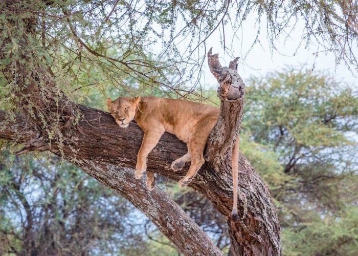 lake manyara2