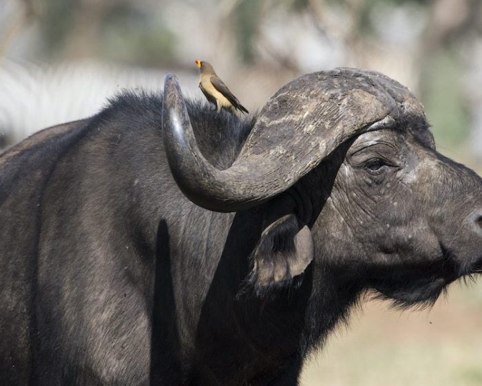 northern tanzania2