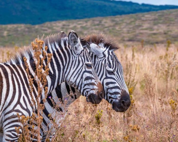 northern tanzania3